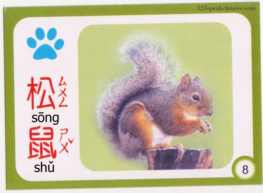 chinese-animals-squirrel