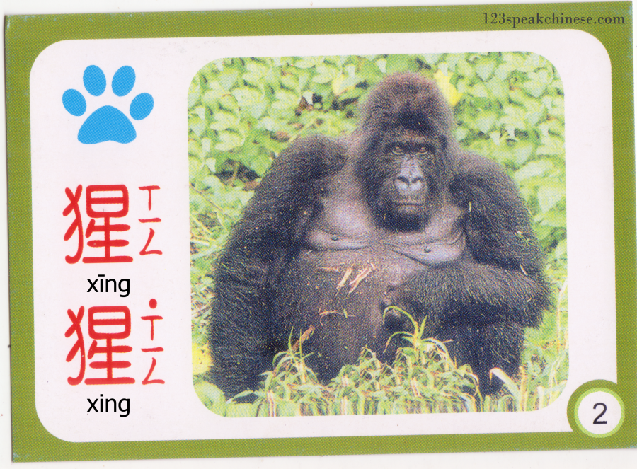 Chinese-Animals-Gorilla