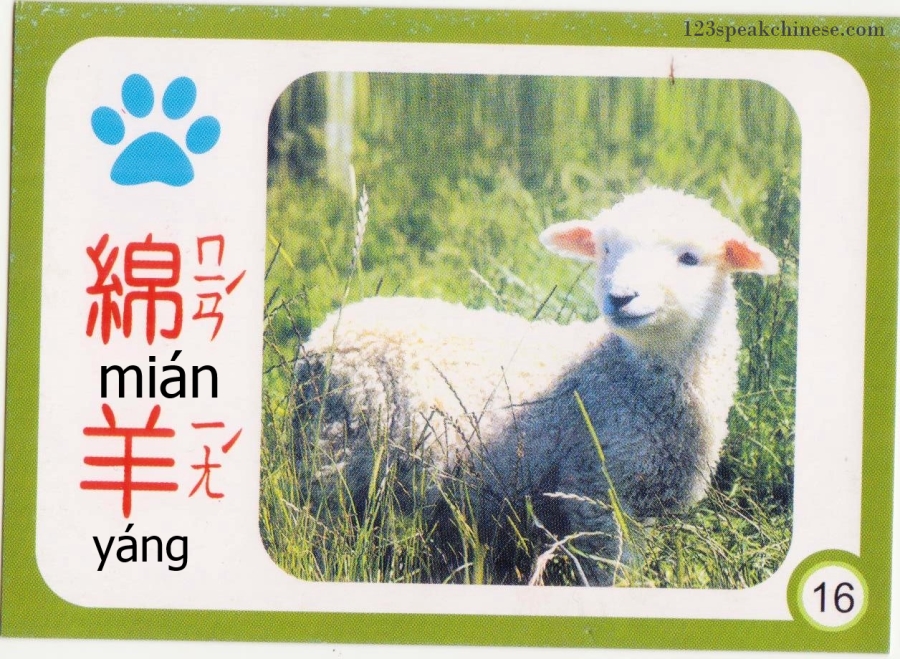 Chinese-Animals-sheep-lamb