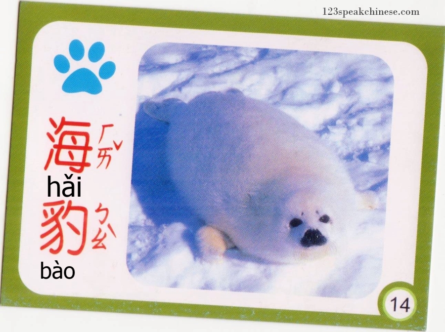 Chinese-Animals-seal
