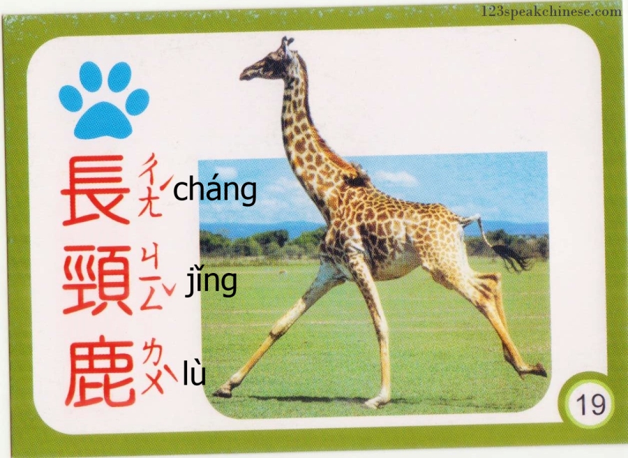Chinese-Animals-giraffe