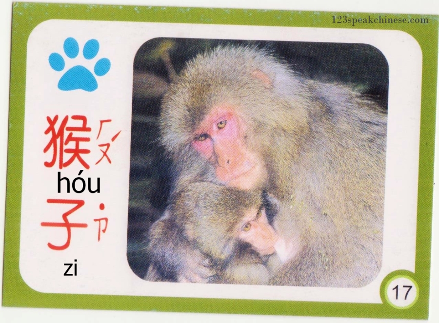 Chinese-Animals-monkey