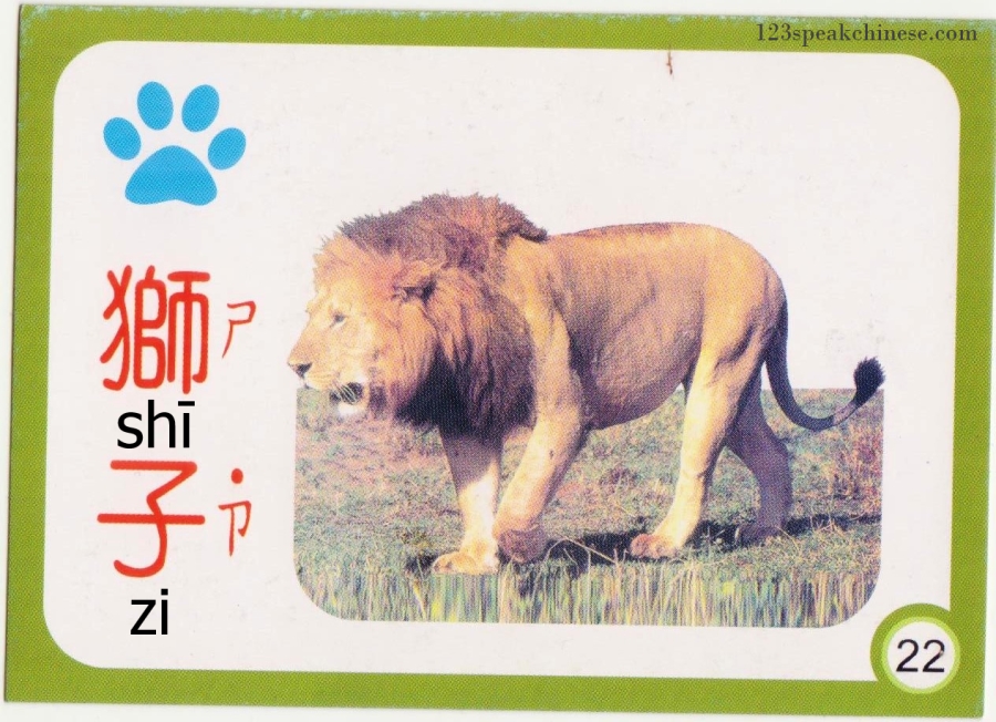 Chinese-Animals-lion