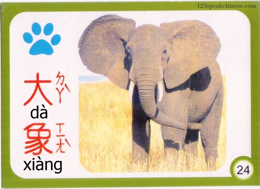 Chinese-Animals-elephant