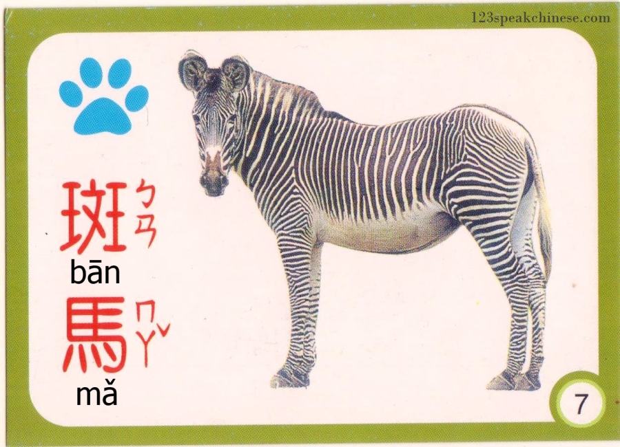 Chinese-Animals-Zebra