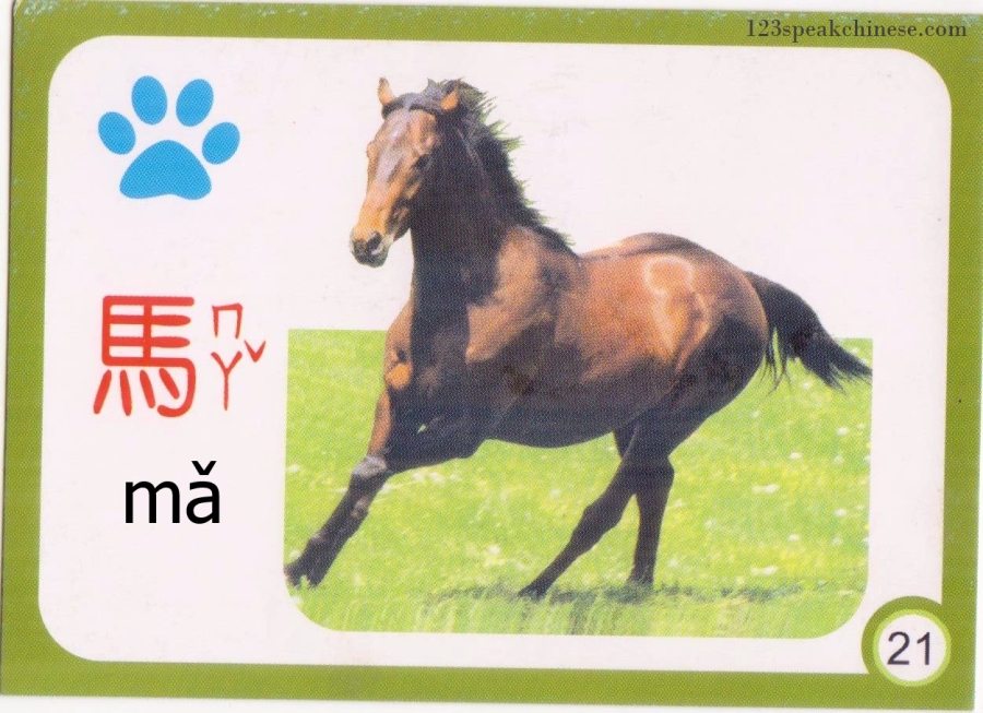 Chinese-Animals-horse