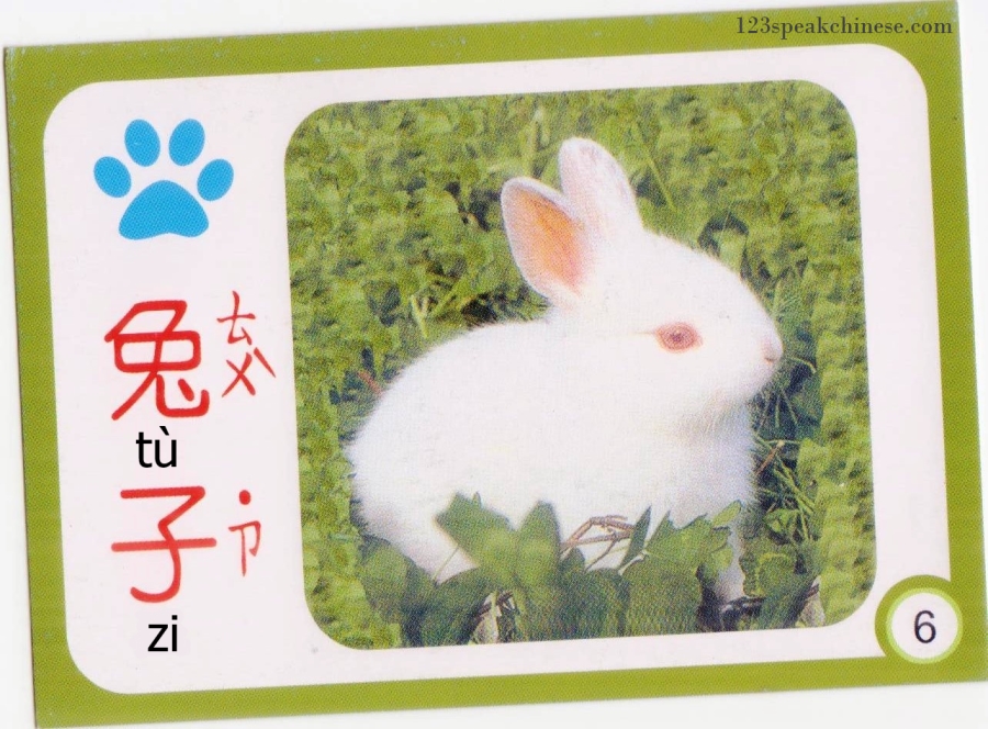Chinese-Animals-rabbit