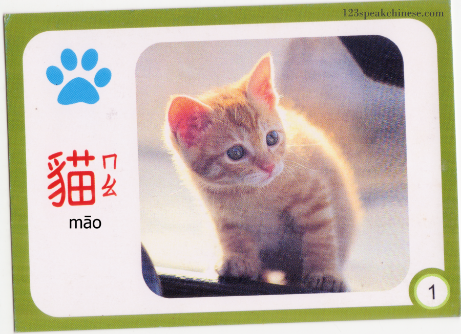 Chinese-Animals-cat