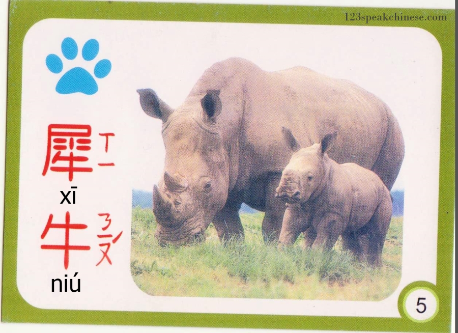 Chinese-Animals-rhino