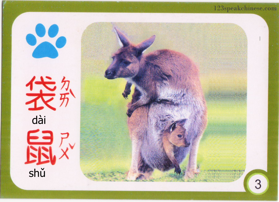 Chinese-Animals-kangaroo