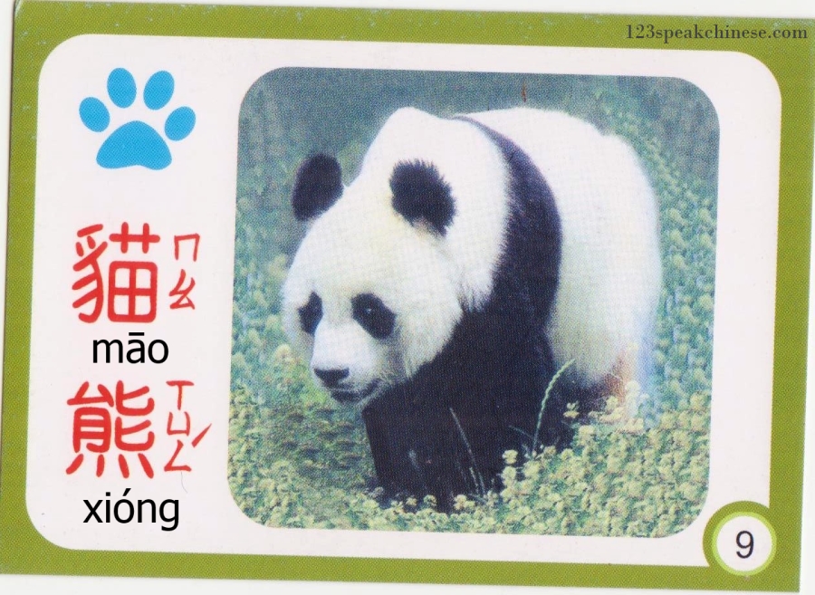 Chinese-Animals-panda